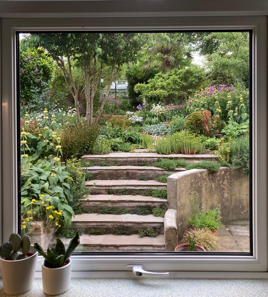 Looking out the window into steps in a garden