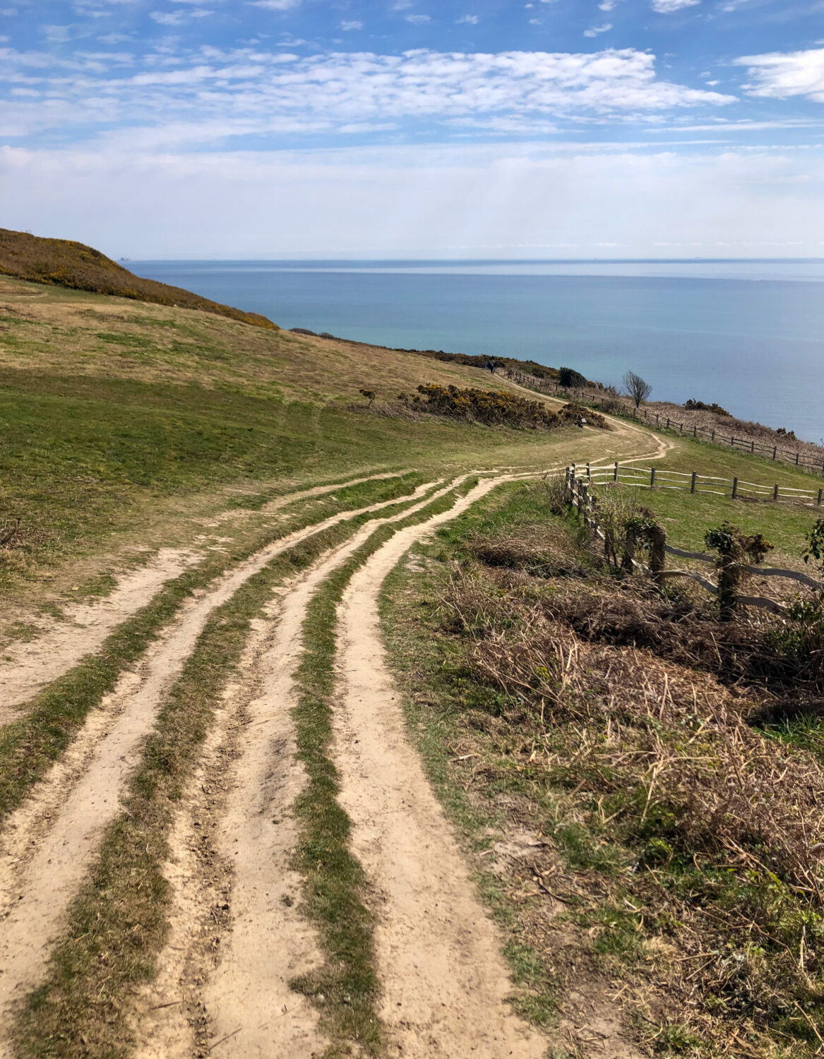 Literal description of image for search purpose - ie Winding coastal track leading to sea with blue sky and wispy clouds