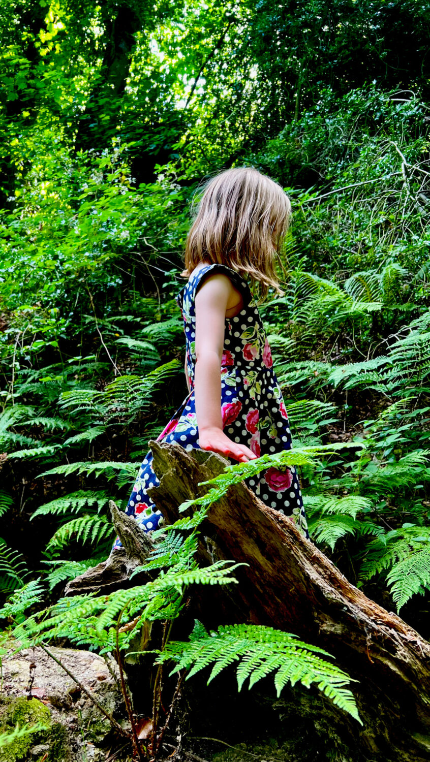 Young girl in dress walking through Sussex woodland with ferns