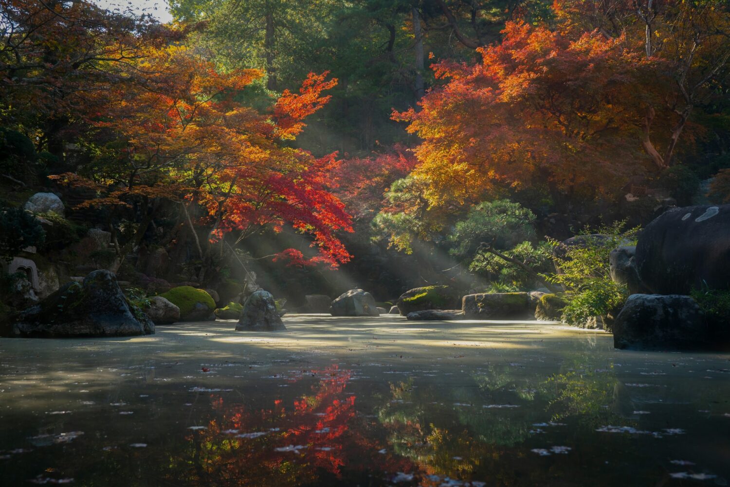 Japanese zen garden at low light. Sunrays through red orange and golden trees. Pool of water with rocks catching the last of the dappled sunlight.