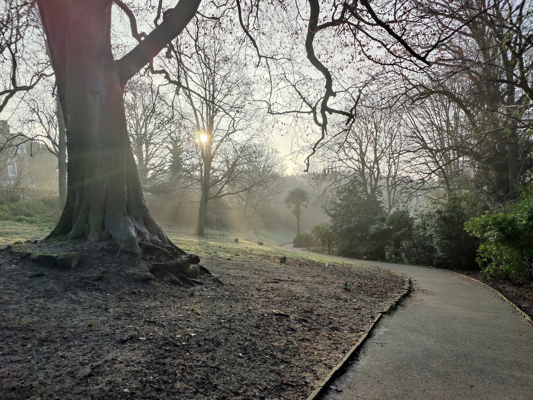St Leonard's Gardens in the Mist