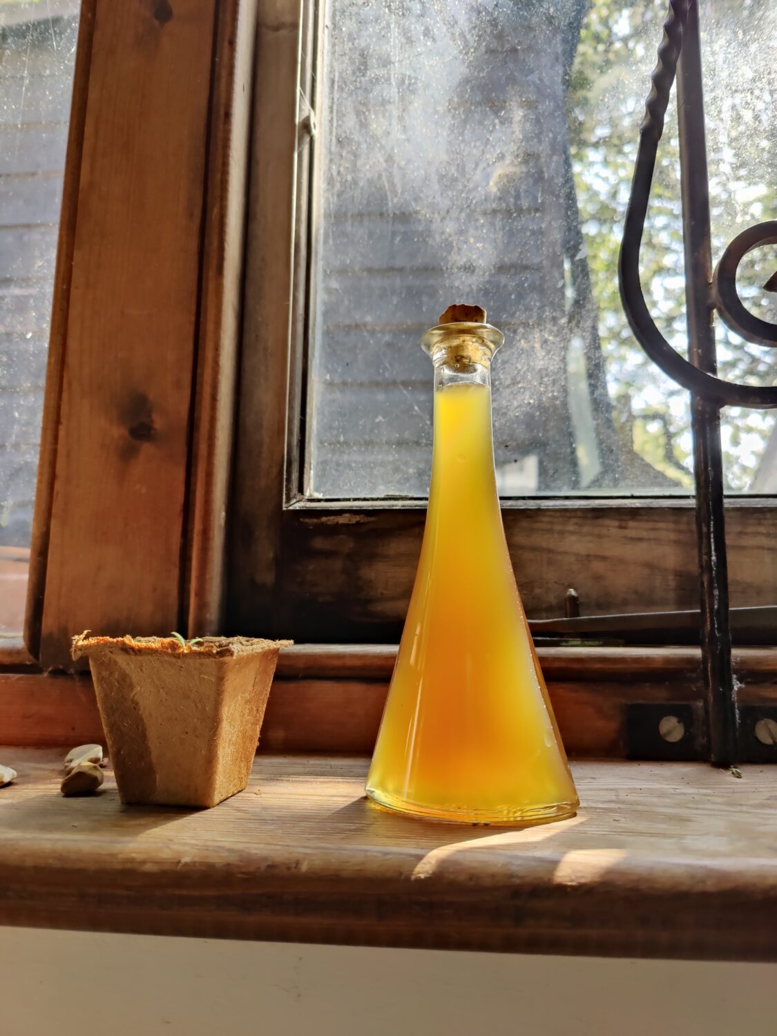 Olive-leaf oxymel, with apple cider vinegar and honey