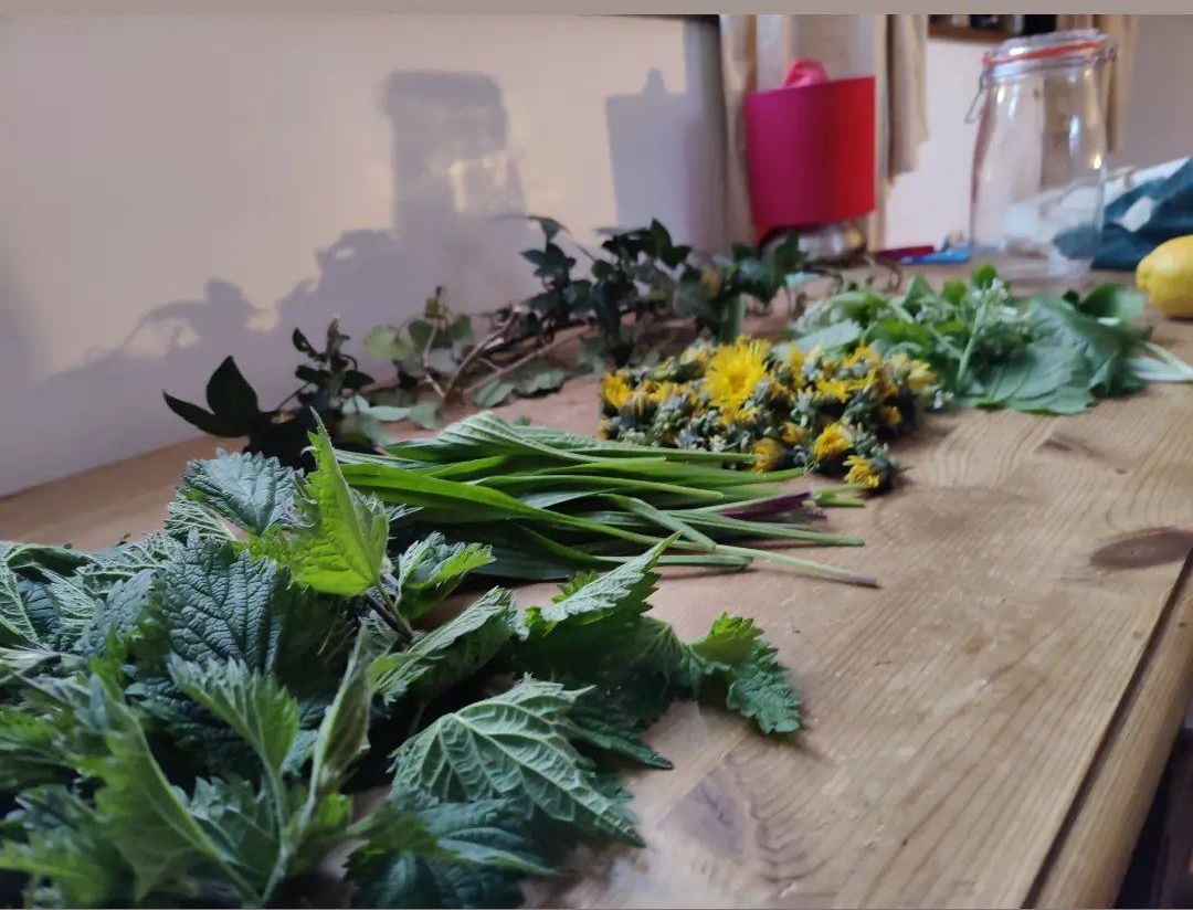 Nettle, narrow leaf plantain, dandelions and ramsons