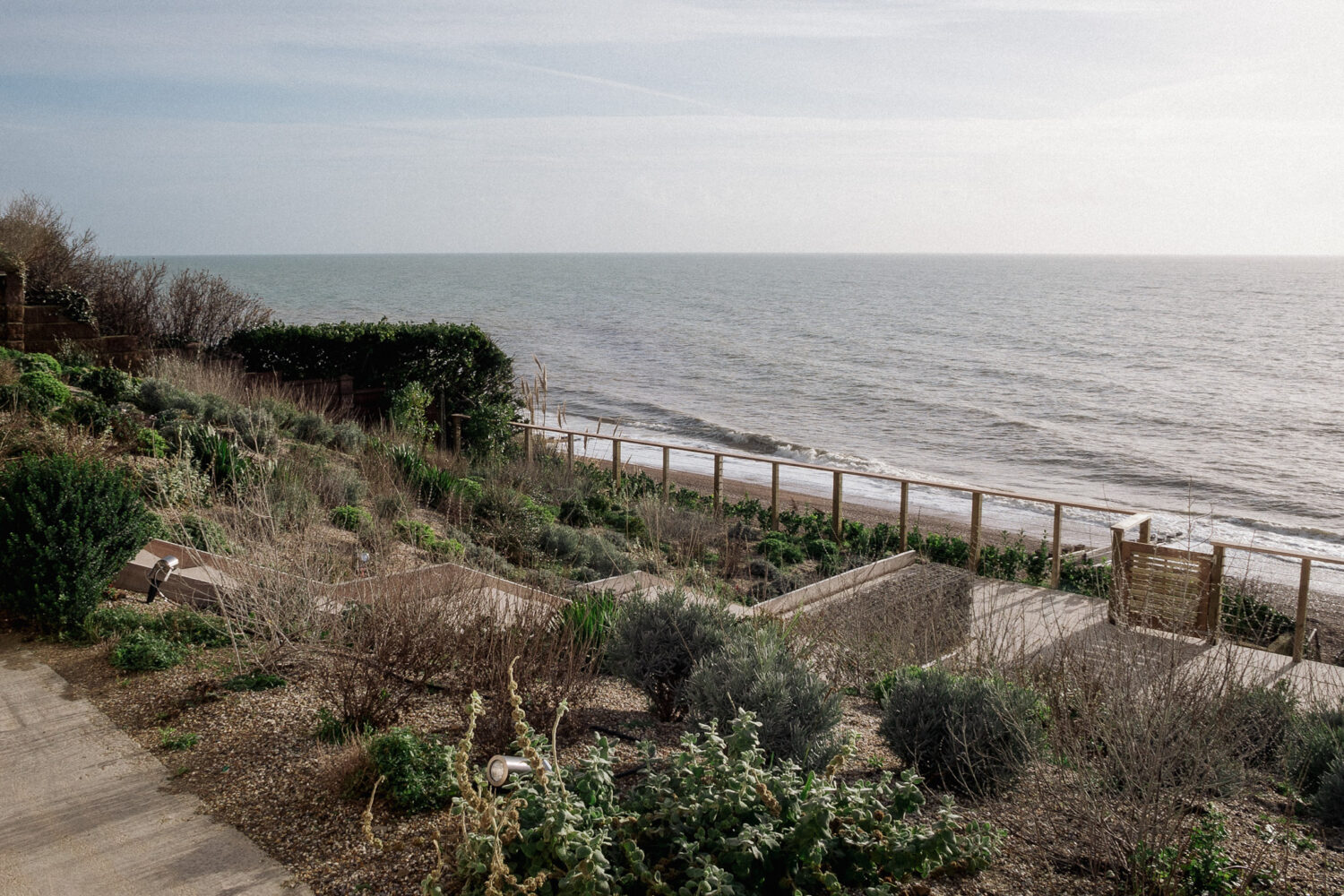 Drought tolerant planting overlooking the sea
