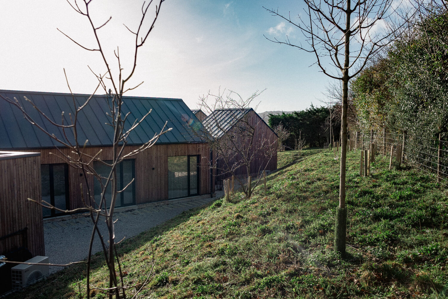 Steep wildflower meadow bank on top of gabion baskets
