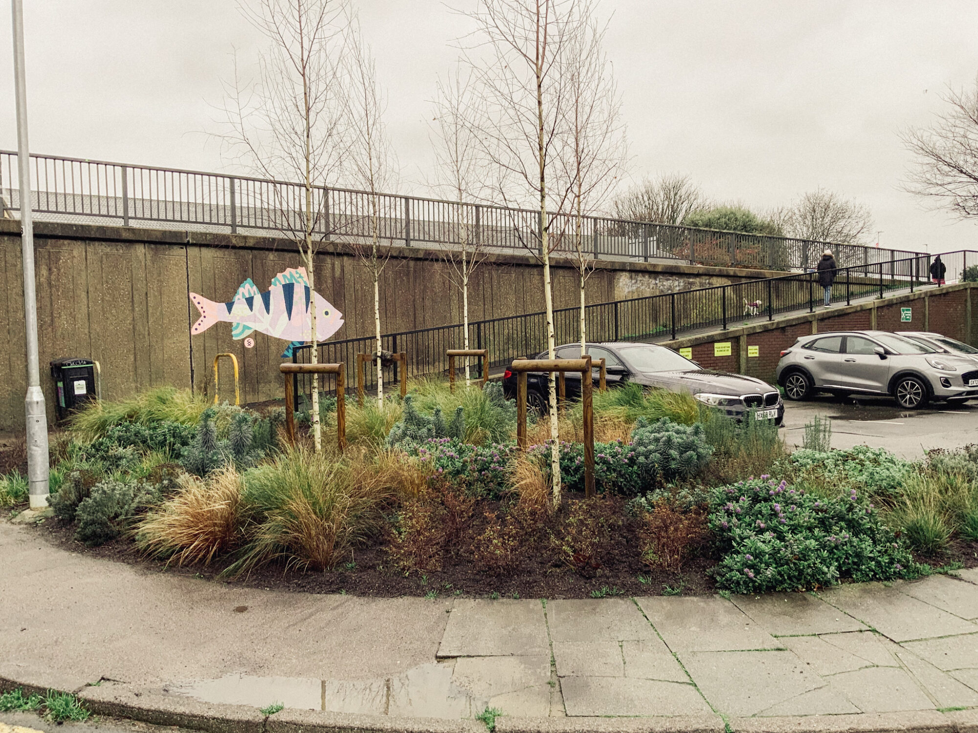 Naturalistic perennial planting in Newhaven town centre