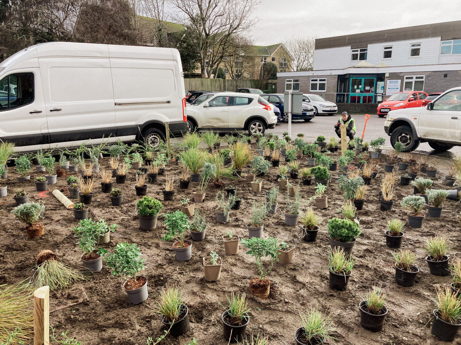 Lot of plants being laid out by landscapers and the garden designer in Newhaven town centre