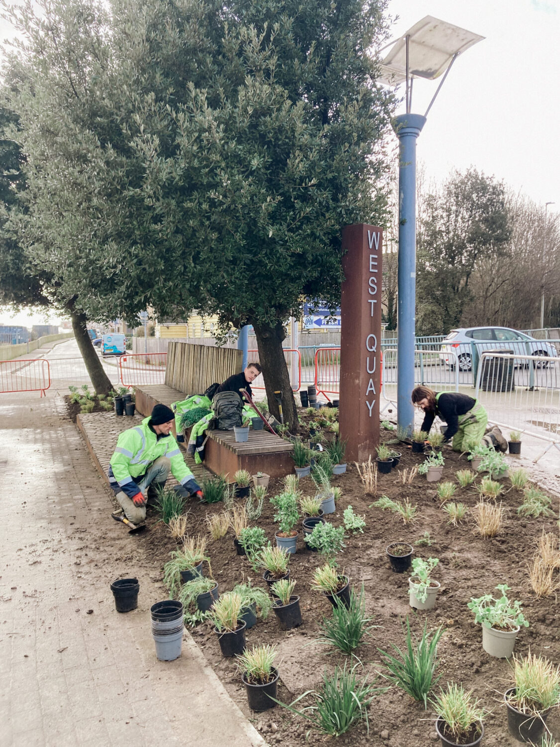 Landscapers planting in Newhaven town centre