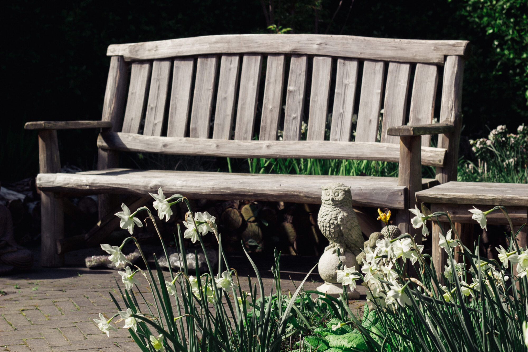 Handmade chestnut bench in a garden surrounding by plants and flowers
