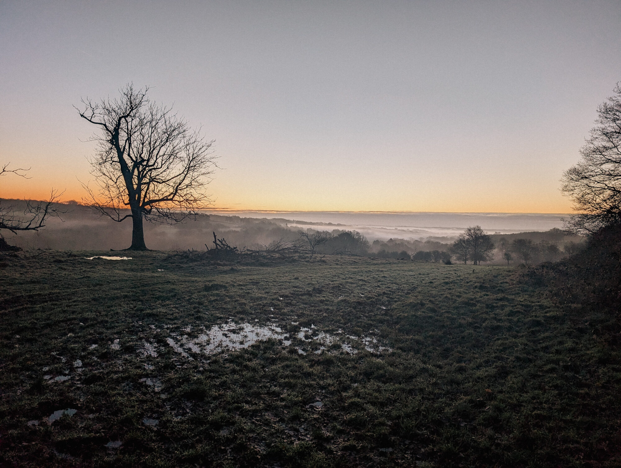 Sunrise over Sussex estate with silhouetted trees in winter