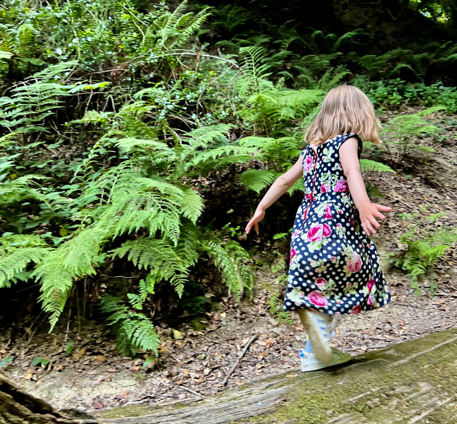 Young girl in dress walking through Sussex woodland with ferns
